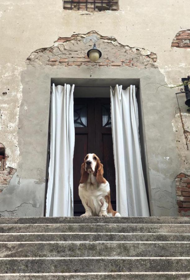 B&B Corte Vo Grande Pegognaga 外观 照片