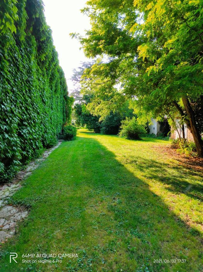 B&B Corte Vo Grande Pegognaga 外观 照片